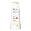 Shampoo Dove Ritual De Reparação 200ml