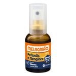 Melagriao-Menta-Spray-30ml