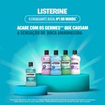 Listerine-Coolmint-250ml