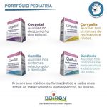 Cocyntal-Com-10x1ml-Flaconetes