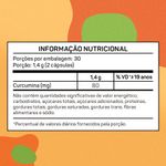 744402-7899813205626-CURCUMA-60