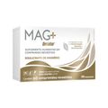 Mag+ Quelatus Com 60 Comprimidos Revestidos