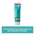 Biofenac Anti-inflamatório E Dor Muscular 11,6mg/g Gel 30g